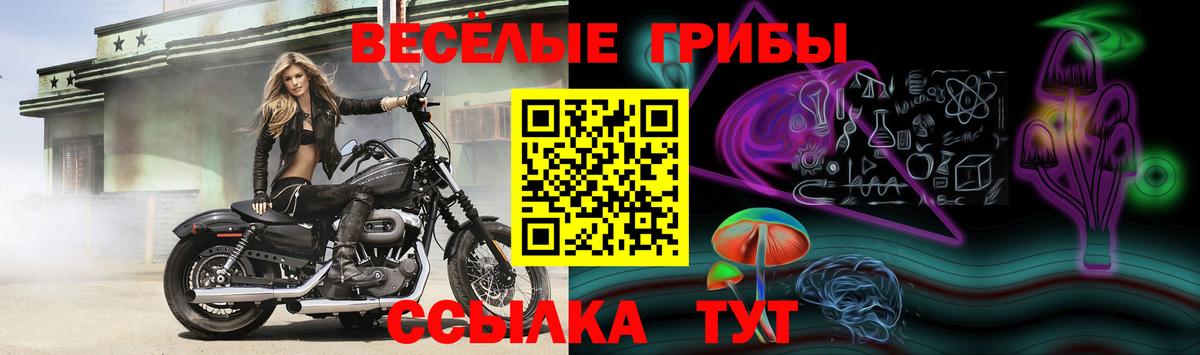 Галлюциногенные грибы Cubensis  Галлюциногенные грибы Magic Shrooms  Азнакаево  хочу наркоту  Вход с VPN 